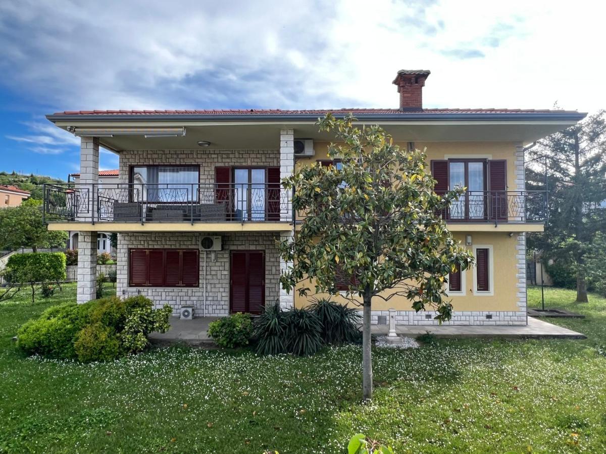 Magnolia Izola
