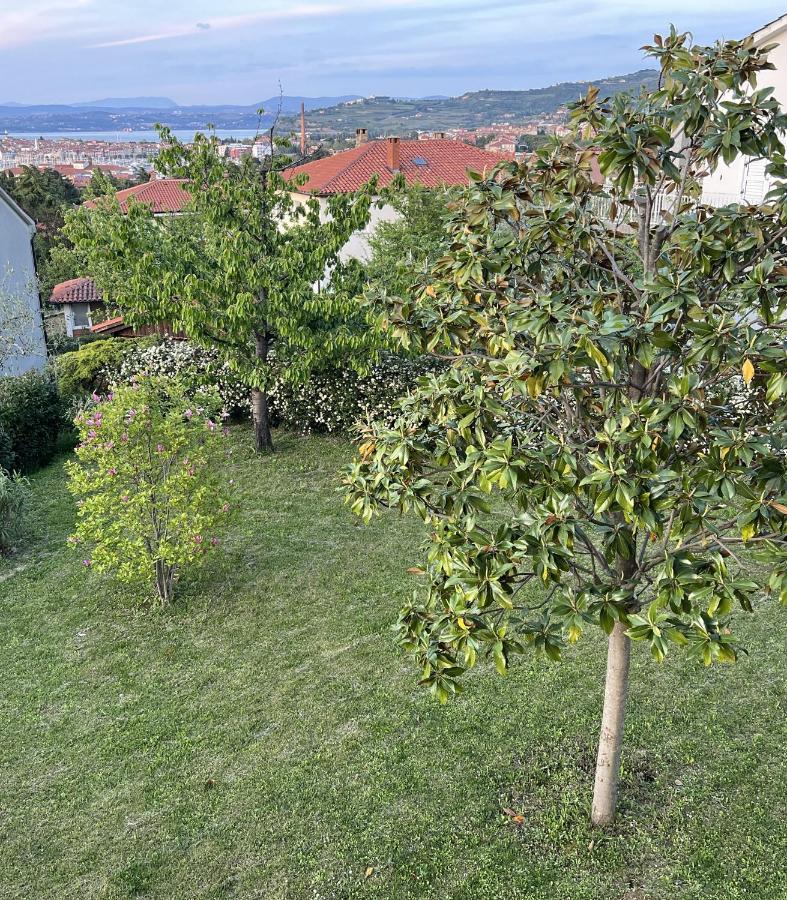 Magnolia *