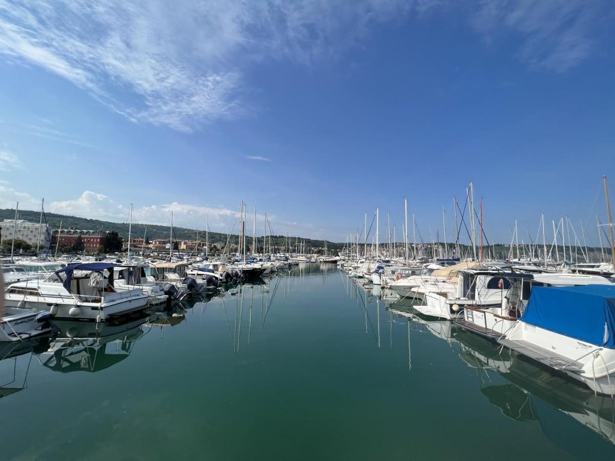 Magnolia * Izola