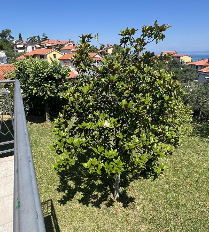 Appartement Magnolia *